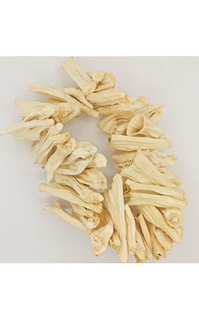 Dolmalık Kuru Kabak 1 Bağ 50 Adet