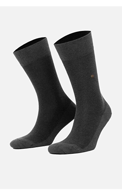 Mısırlı Erkek Organik Pamuklu Tekli Soket Çorap Antrasit