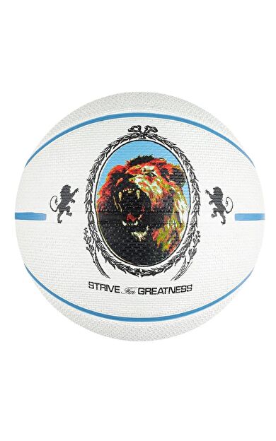 Nike N.100.4372.086.07 Playground 2.0 8P L Unisex Basketbol Topu
