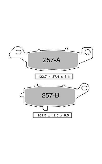 BMW R 1200 GS (04-12) Sinterli Ön Fren Balatası