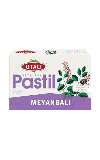 Otacı Meyanbalı Bitkisel Pastil 16 Adet