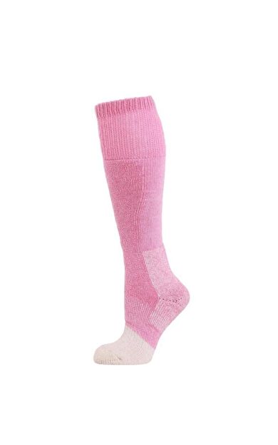 Panthzer Nature Extreme Cold Socks Kadın Çorap Pembe