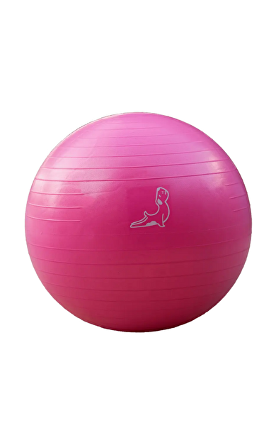 PETARYA 65 cm Pembe Pilates Topu