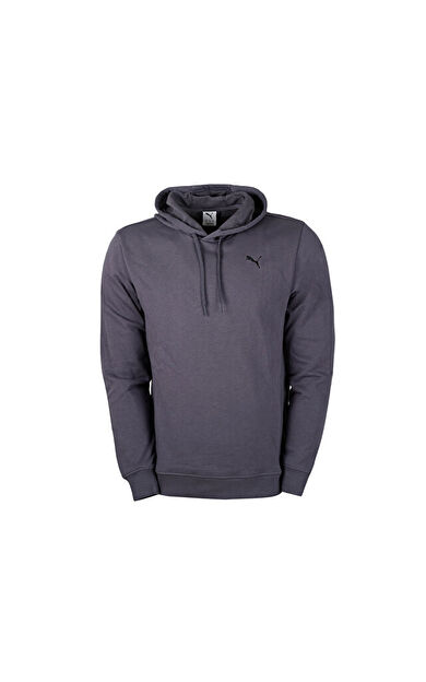 Puma Tad Ess French Terry Hoodie Erkek Günlük Sweatshirts 52591869 Renkli