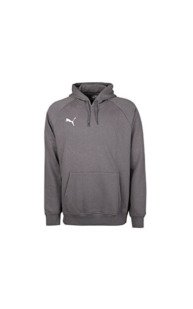 Puma Turkey Hoodie Türkiye Futbol Antrenman Sweatshirt 60546903 Gri