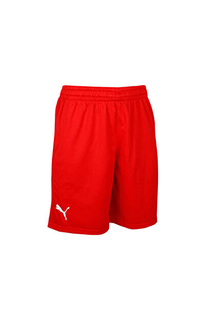 Puma Turkey Practice Short Erkek Türkiye Basketbol 60547202 Kırmızı