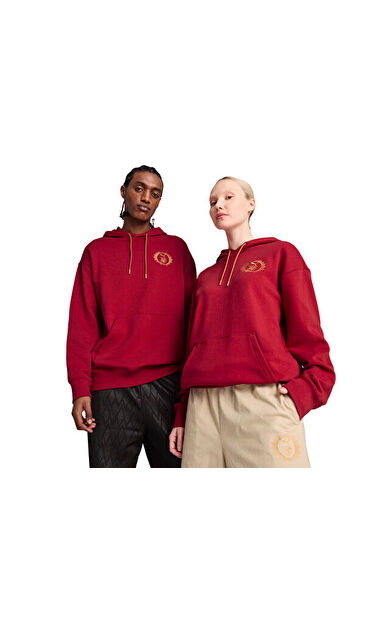 Puma Puma X Harry Potter Hoodie Unisex Günlük Sweatshirts 63009313 Kırmızı