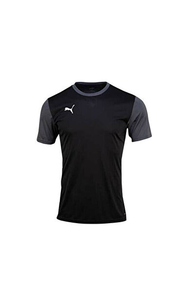 Puma Teamgoal 23 Sideline Tee Erkek Futbol Tişörtü 65648403 Siyah
