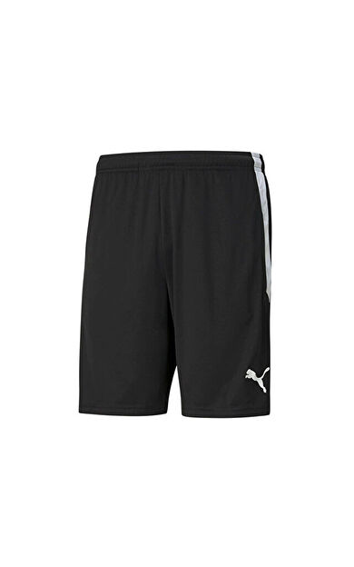 Puma Teamliga  Training Shorts Erkek Futbol Maç Şortu 65724903 Siyah