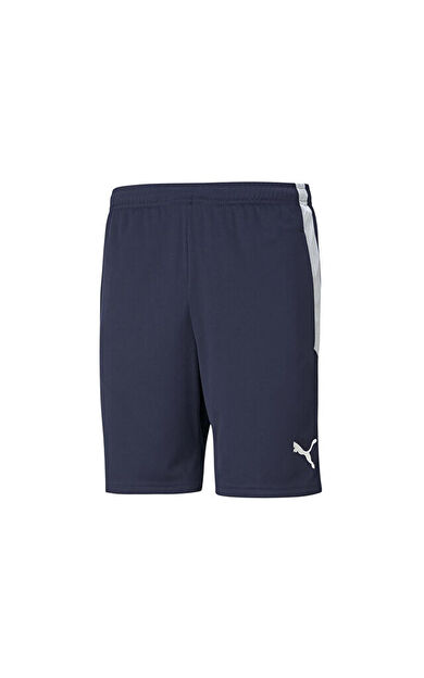 Puma Teamliga  Training Shorts Erkek Futbol Maç Şortu 65724906 Lacivert