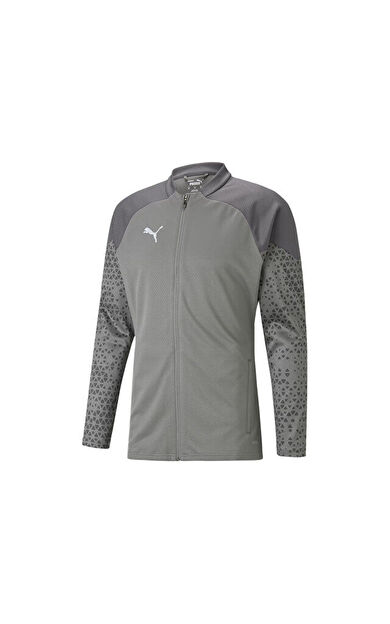 Puma Teamcup Training Jacket Erkek Futbol Antrenman Ceketi 65798313 Gri