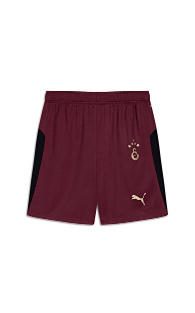 Puma Gsk Shorts Replica W/Blocking W/O Erkek GALATASARAY 25/26 Futbol Şortu 77982303 Siyah