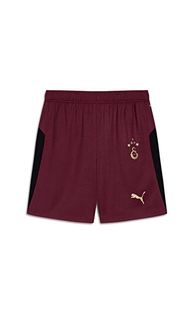 Puma Gsk Shorts Replica W/Blocking W/O Erkek GALATASARAY 25/26 Futbol Şortu 77982303 Siyah