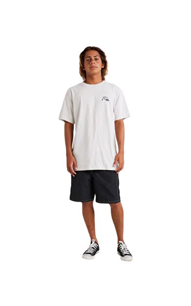 Quiksilver AQYZT09598 Qs Bubble Logo Dna Erkek Tişört