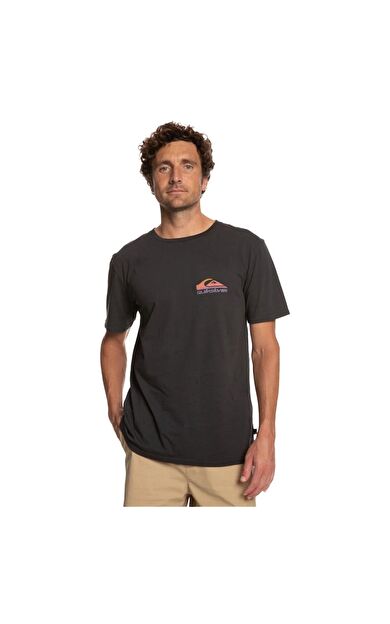 Quiksilver EQYZT07252 Pastimeparadise M Tees Erkek Tişört EQYZT07252-KVJ0
