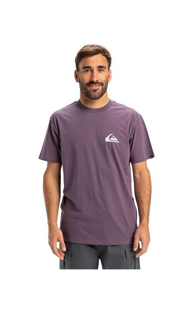 Quiksilver EQYZT08042-PQC0 Ev Mini Logo Ss Erkek Spor Tişört