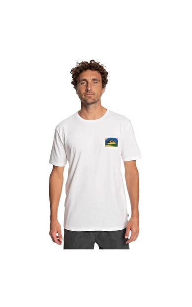 Quiksilver Colourflow Tees Erkek T-Shirt