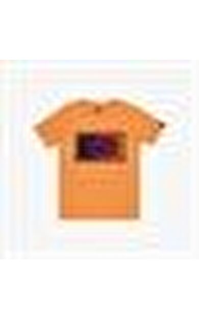 Quiksilver Day Tripper Ss Youth Çocuk Tişört EQBZT04714
