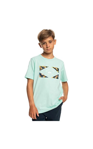 Quiksilver EQBZT04590 Circledline B Tees Erkek Çocuk Tişört EQBZT04590-GCZ0