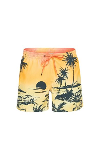 Quiksilver EQYJV03999 Paradise 15 M Jamv Erkek Şort Mayo EQYJV03999-MHV6