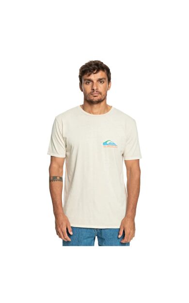 Quiksilver EQYZT07252 Pastimeparadise M Tees Erkek Tişört EQYZT07252-WDW0