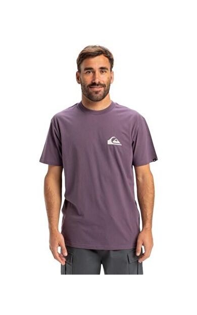 Quiksilver EQYZT08042-PQC0 Ev Mini Logo Ss Erkek Spor Tişört