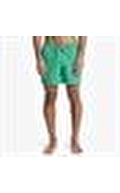 Quiksilver Everyday 15 Erkek Şort EQYJV04120