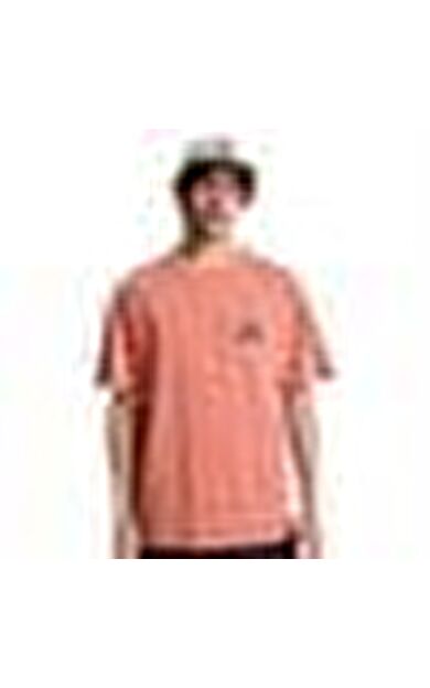 Quiksilver Fruits Tide Erkek Tişört EQYZT08296