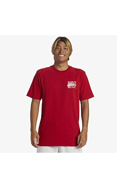 Quiksilver Hurricane Or Hippie Moe Erkek Tişört AQYZT09540
