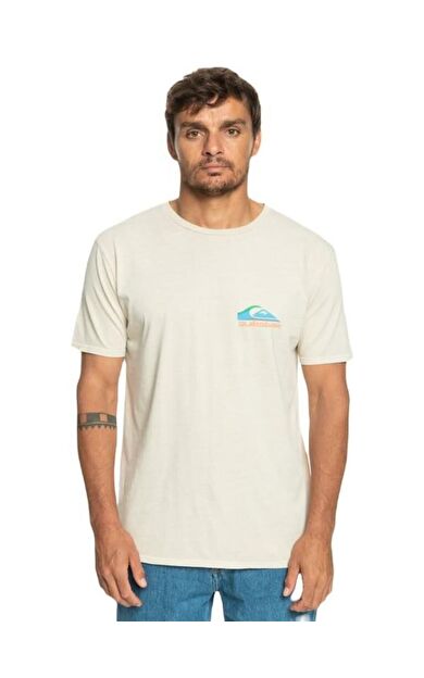 Quiksilver Pastime Paradise Erkek T-Shirt