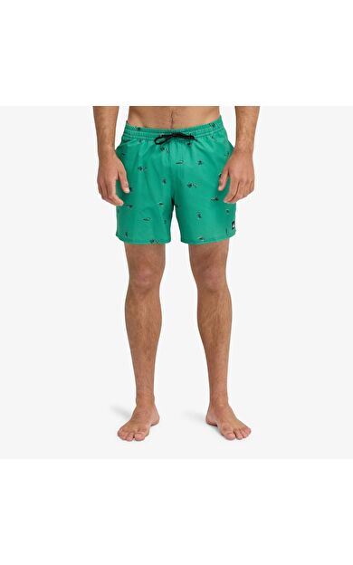 Quiksilver Stretch Printed Erkek Şort EQYJV04217