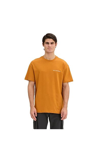 Quiksilver Touchdown Tee Erkek Tişört TRQMS26110