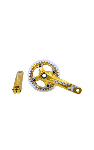 Raptor Ayna Kol A23Z-AS322P-34T 170mm Şeffaf muafazalı GOLD