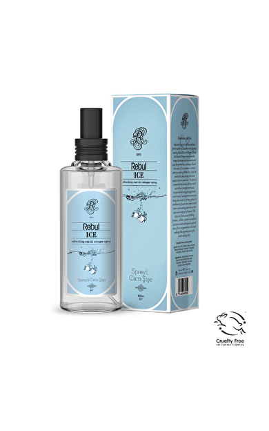 Rebul Kolonya Ice 100 Ml.