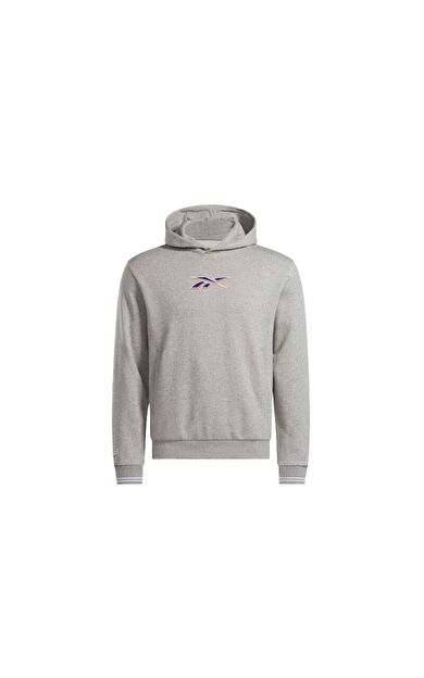 Reebok Cl Unıform Hoodıe Erkek Sweatshirt 100205675