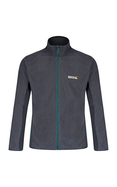 Regatta Ashton Erkek Polar-GRİ