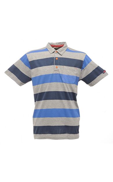 Regatta Quietstorm Polo Yaka Erkek T-Shirt-GRİ