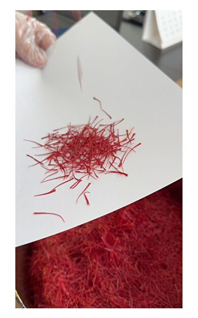 Safran BİR GRAMTR ATA ORGANİK SAFRAN