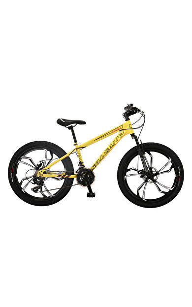 Salcano Lion 24 Mono Jant MD Çocuk Bisikleti 2026