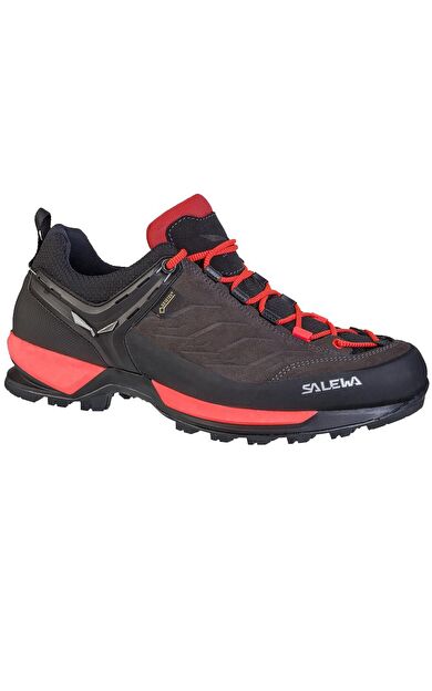 Salewa Mountain Trainer Gore-Tex Kadın Ayakkabı Gri/Mavi