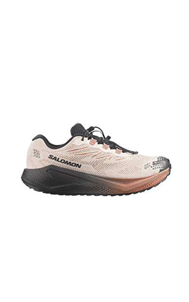 Salomon AERO BLAZE 4 GRVL GTX Erkek Outdoor Koşu Ayakkabısı L45403200 Bej