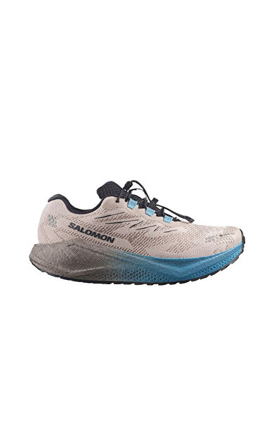 Salomon AERO BLAZE 4 GRVL GTX Erkek Outdoor Koşu Ayakkabısı L45403300 Bej
