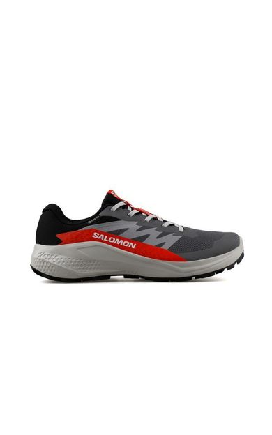 Salomon Alphaglide Gore-Tex Erkek Outdoor Koşu Ayakkabısı L47975300 Gri