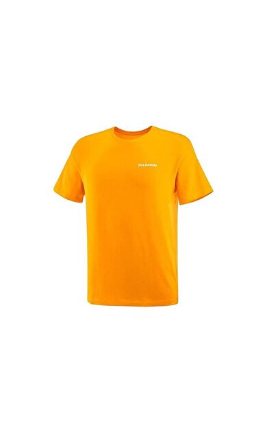 Salomon Erkek T-Shirt Graphic Perf Ss Tee M LC2219700