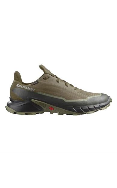 Salomon Alphacross 5 Gtx Erkek Spor Ayakkabısı L47310300