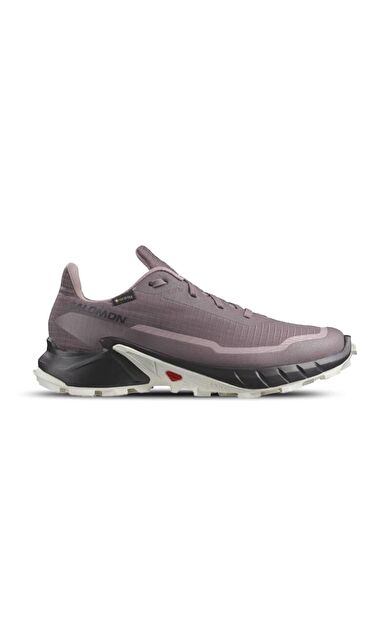Salomon Kadın Outdoor Ayakkabı Alphacross 5 Gtx W L47311000
