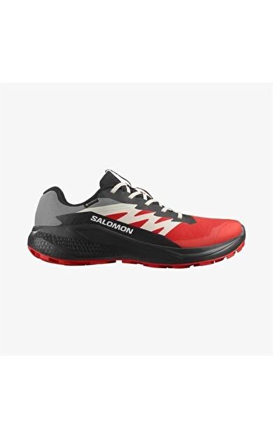 Salomon Alphaglide Gore-Tex Erkek Spor Ayakkabısı L47975200