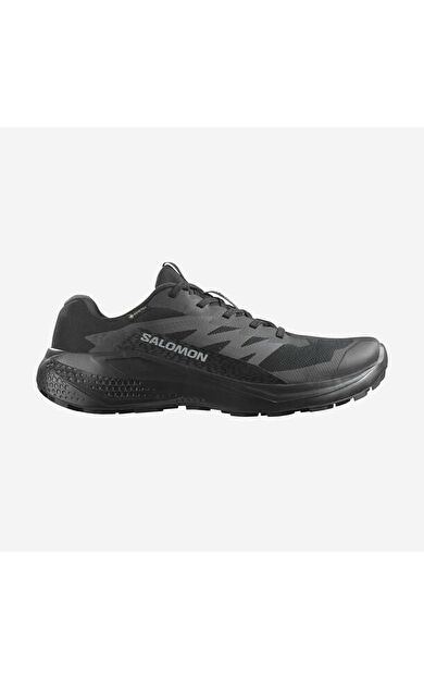 Salomon Alphaglıge Gore-Tex Erkek Ayakkabı L47802100