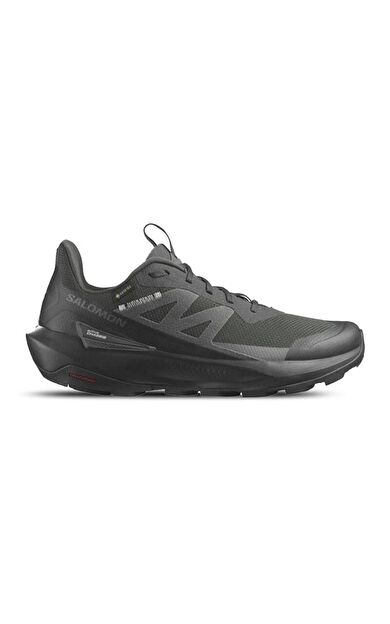 Salomon Erkek Outdoor Ayakkabı Elixir Activ Gtx L47456100