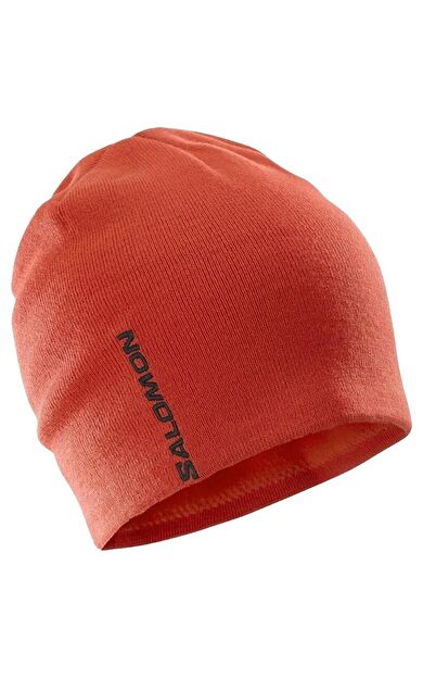 Salomon Graphic Beanie Unisex Bere